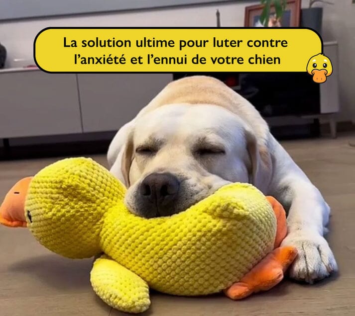 Le jouet Canard Calmant brinquedo Mascato Shop