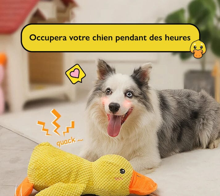 Le jouet Canard Calmant brinquedo Mascato Shop